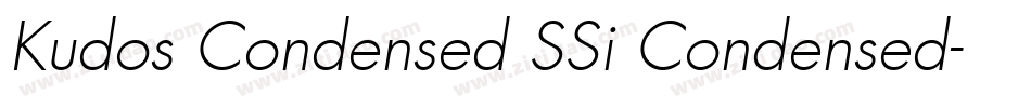 Kudos Condensed SSi Condensed字体转换
